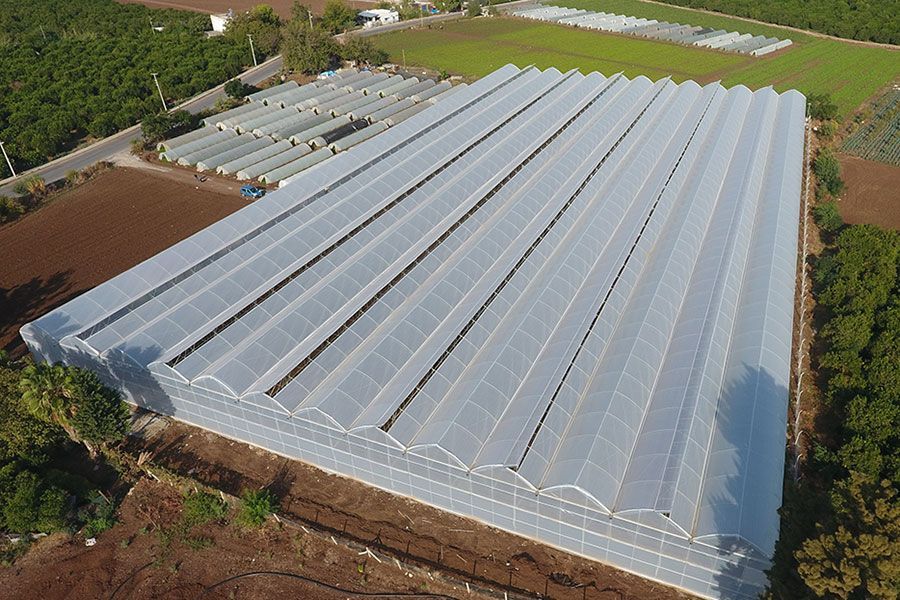 Vue aérienne de serres tunnels agricoles