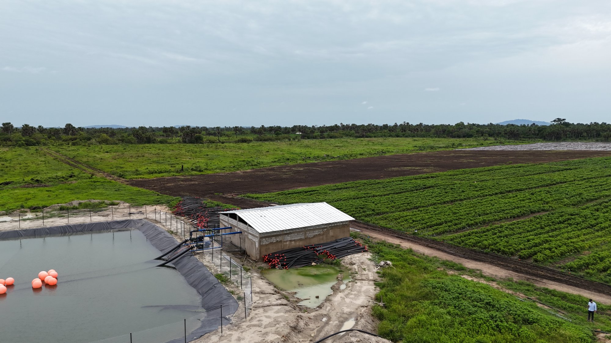 Bassin de stockage d'eau à côté d'une culture irriguée